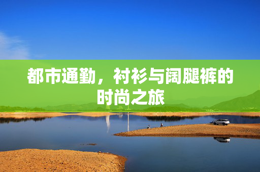 都市通勤，衬衫与阔腿裤的时尚之旅
