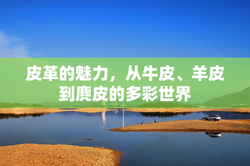 皮革的魅力，从牛皮、羊皮到麂皮的多彩世界