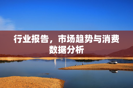 行业报告，市场趋势与消费数据分析