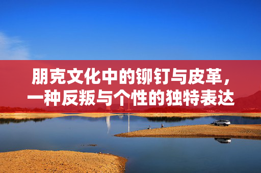 朋克文化中的铆钉与皮革，一种反叛与个性的独特表达