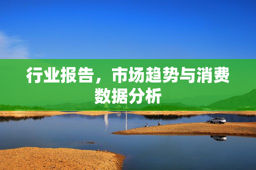 行业报告，市场趋势与消费数据分析