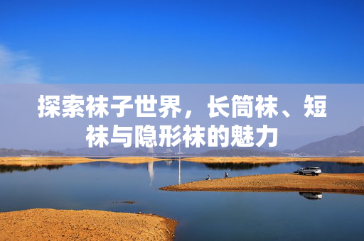 探索袜子世界，长筒袜、短袜与隐形袜的魅力